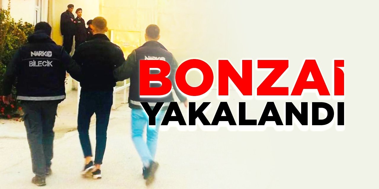 Bonzai yakalandı!