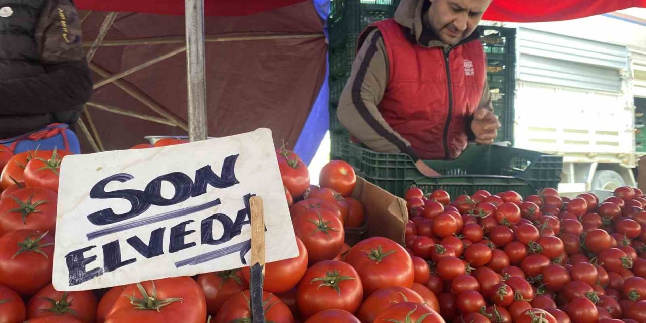 Ucuz Ve Lezzetli Bahçe Domateslerine Esnaf ’son Elveda’ Dedi