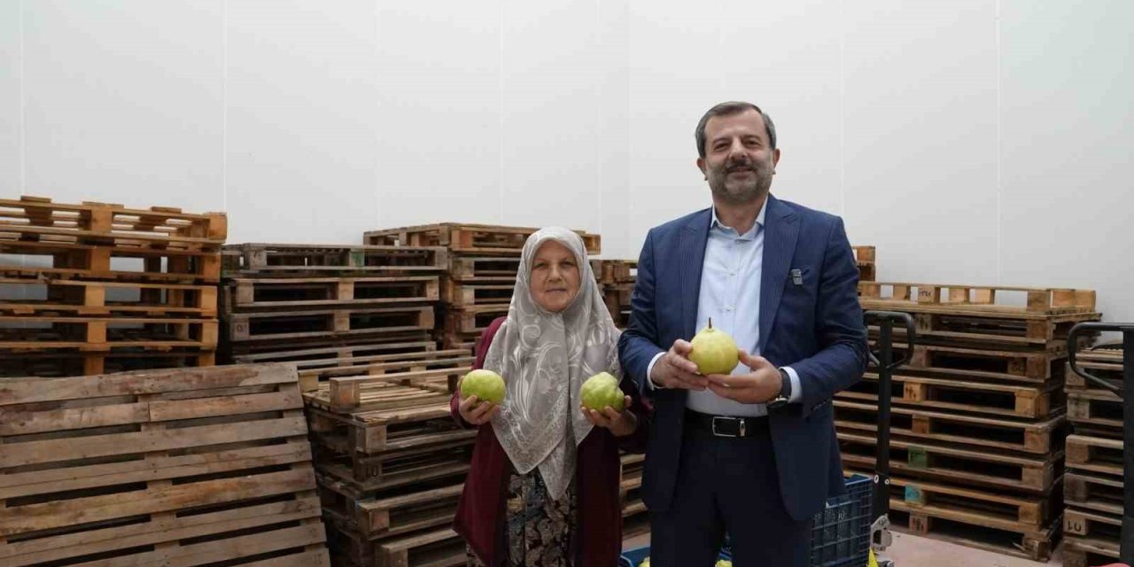 Hayriye Teyze Gürsu Armudu İle Girişimci Oldu