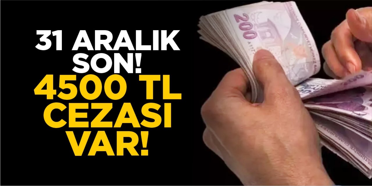 31 Aralık son! 4538 TL cezası var!