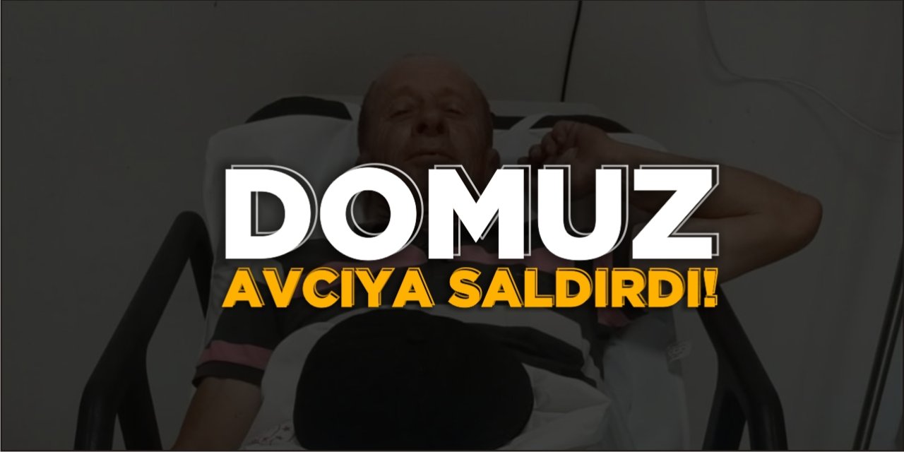 Domuz Avcıya Saldırdı!