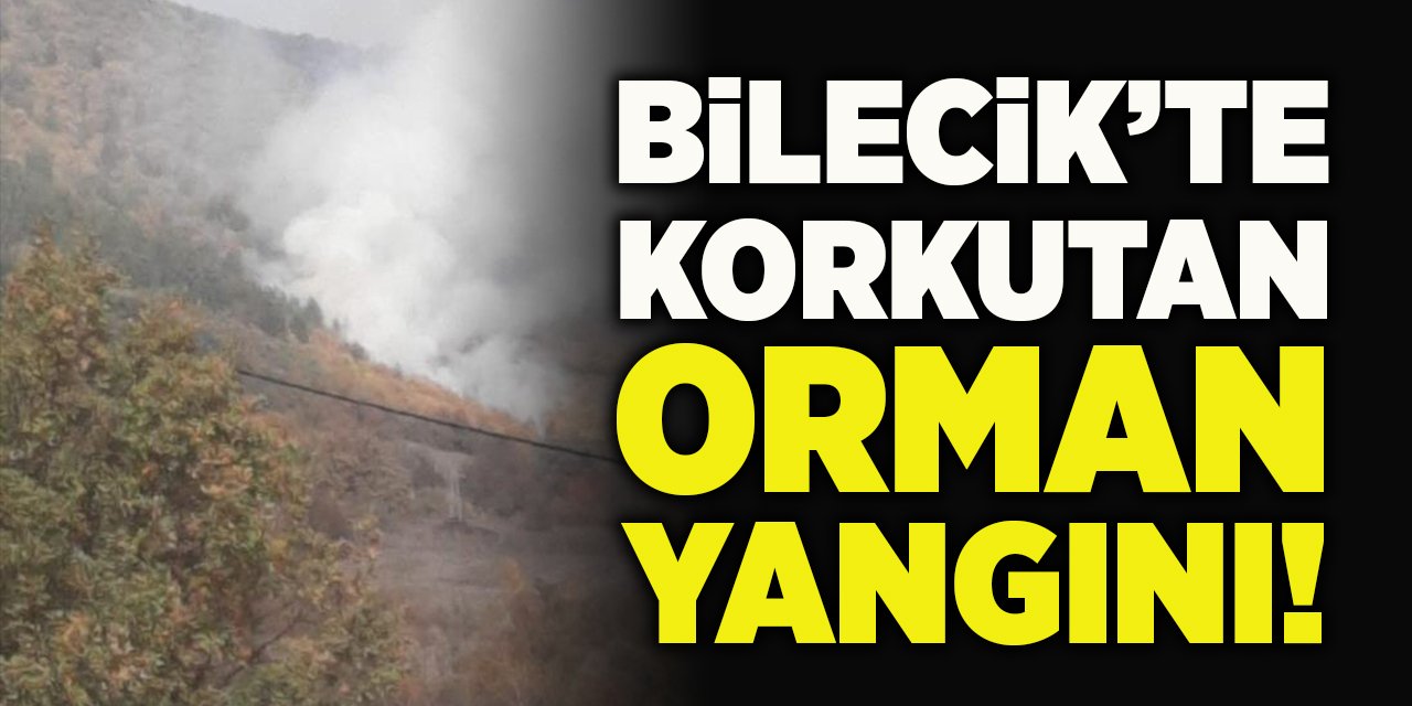 Bilecik’te Korkutan Orman Yangını