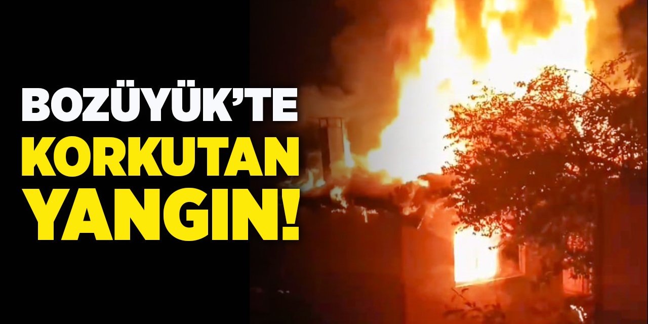 Bozüyük'te Korkutan Yangın!