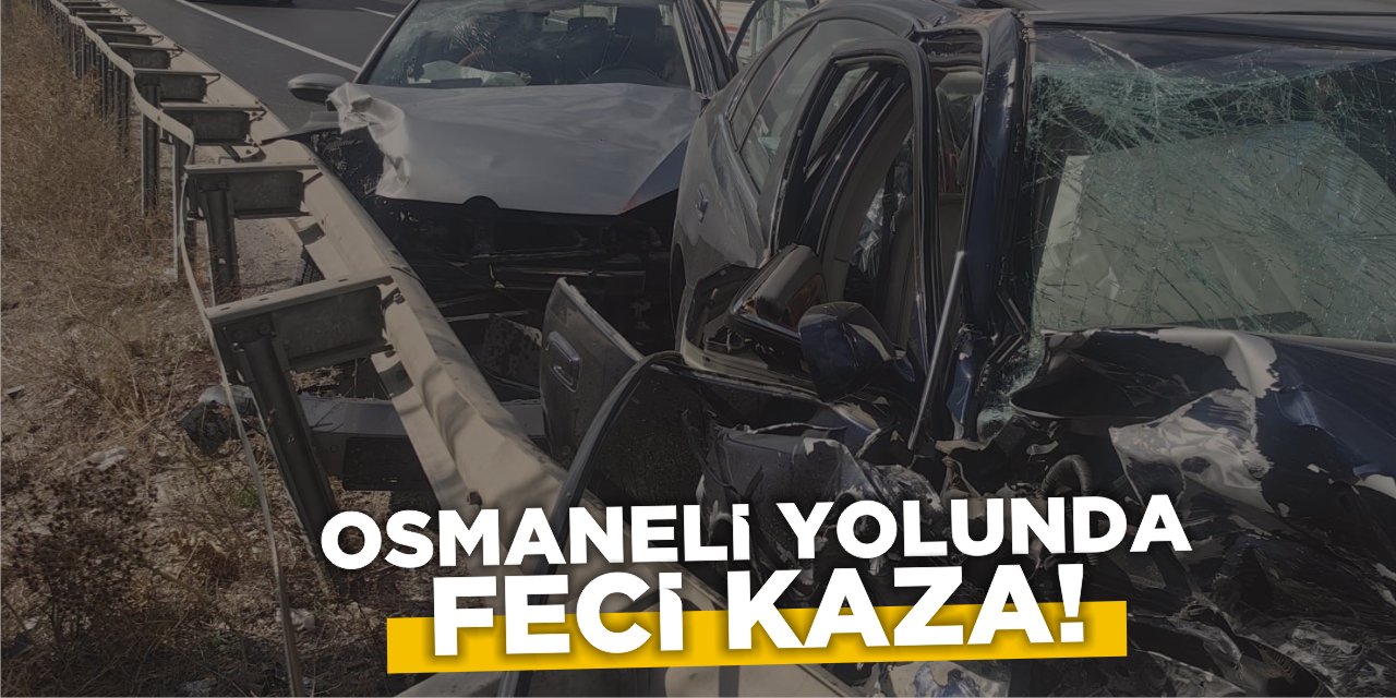 Osmaneli Yolunda Feci Kaza!