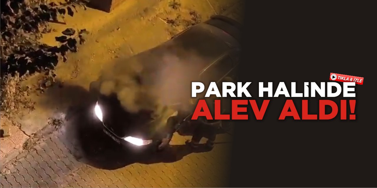 Park halinde alev aldı!