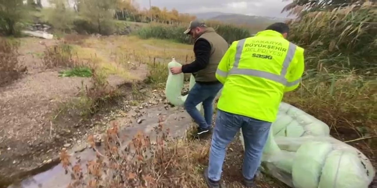 Amatör Balıkçılar Fark Etti, Ekipler Seferber Oldu