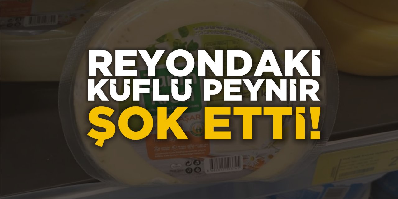 Reyondaki Küflü Peynir Şok Etti