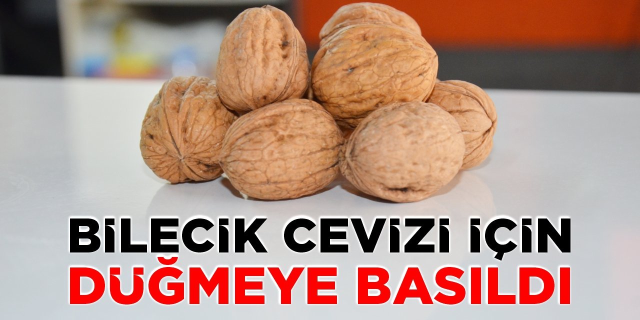 Bilecik cevizi için düğmeye basıldı