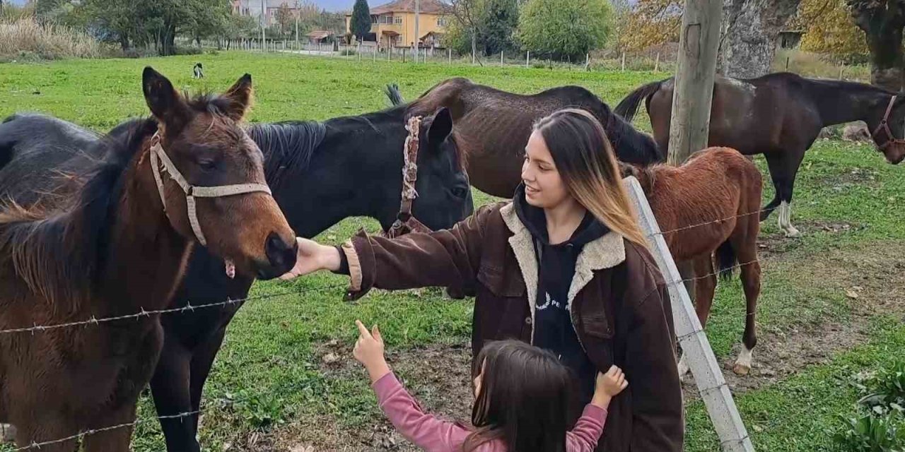 At Sevgisiyle Başlayan Hobi Hipodromda Devam Ediyor