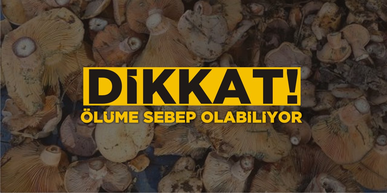 Dikkat! Ölüme Sebep Olabiliyor!