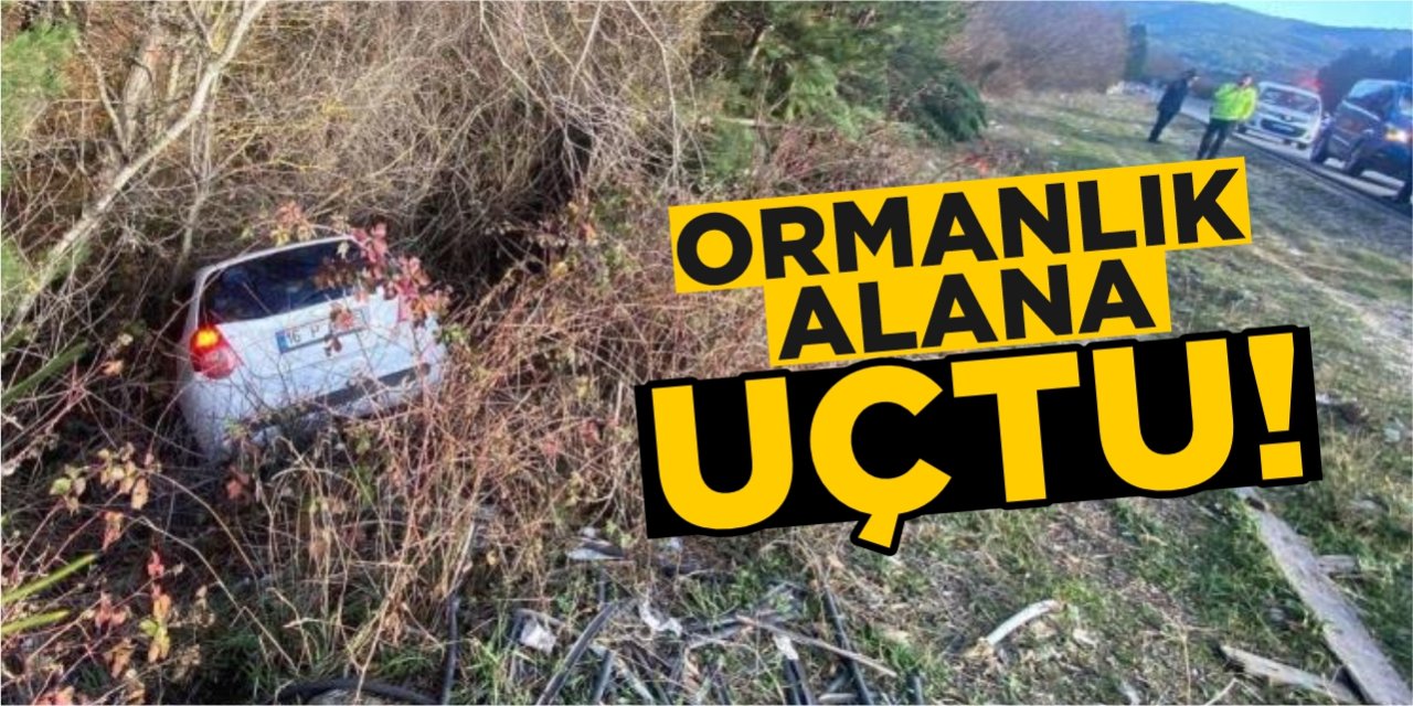 Ormanlık alana uçtu!