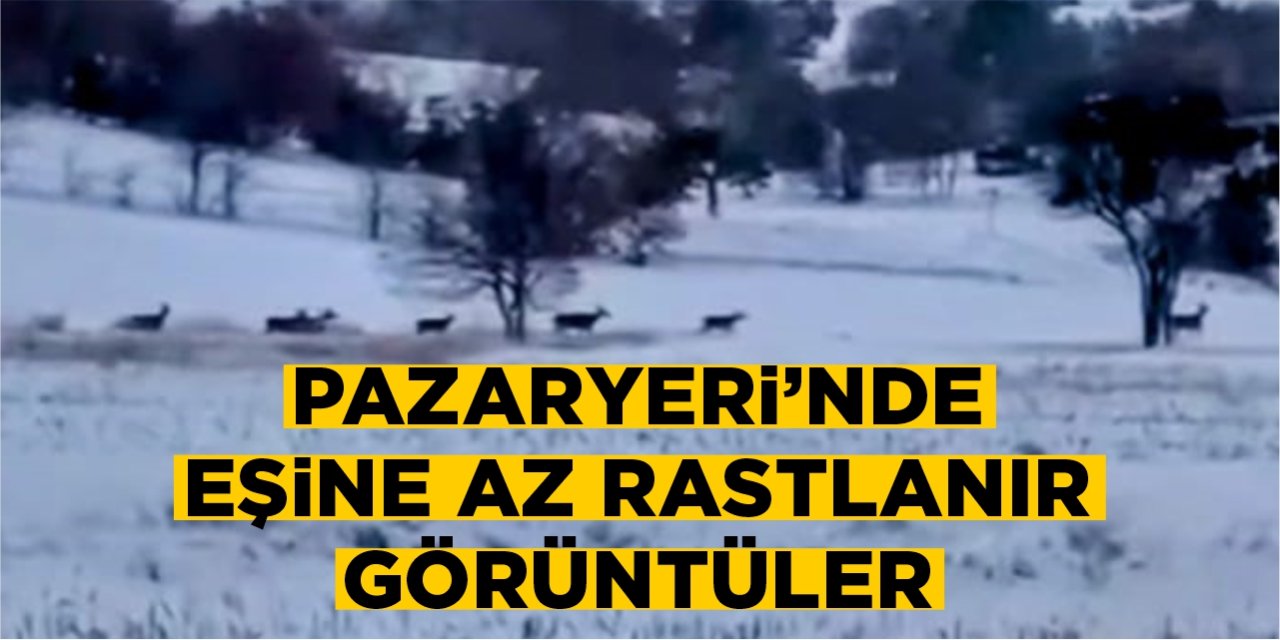 Pazaryeri'ne eşine az rastlanır görüntü