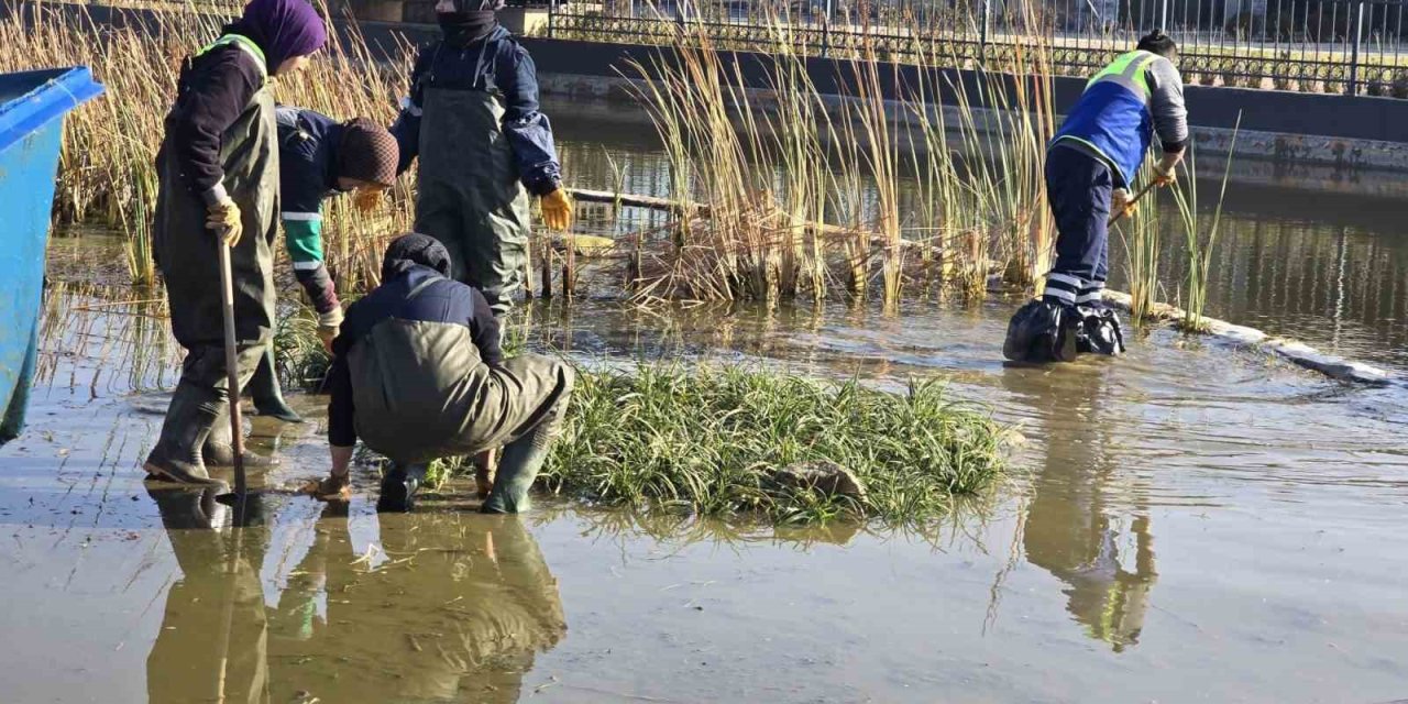 Gökdere Millet Bahçesi’ne Bilimsel Dokunuş