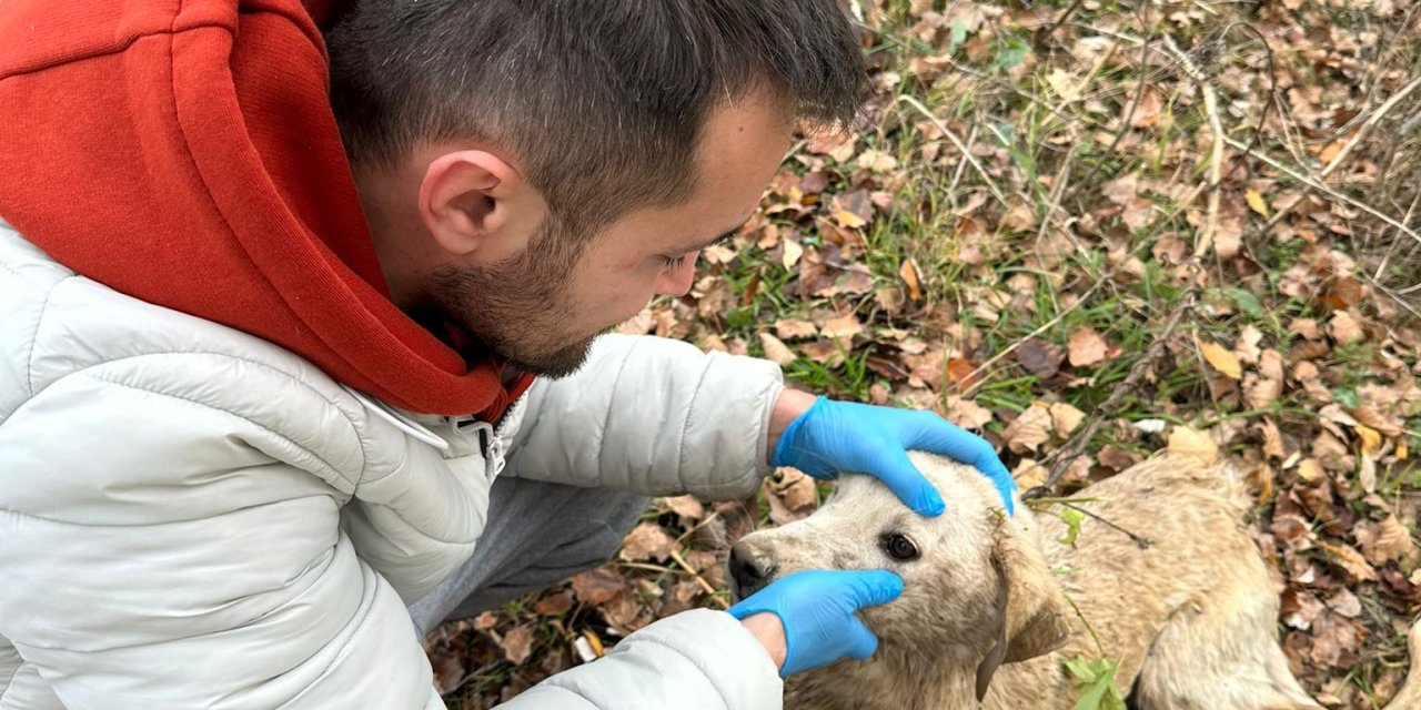 Nehre Düşen Köpeğe Ekiplerden Müdahale