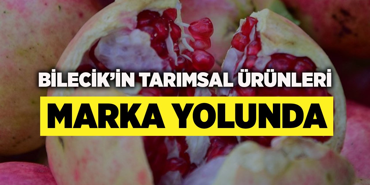 Bilecik’in tarımsal ürünleri marka yolunda