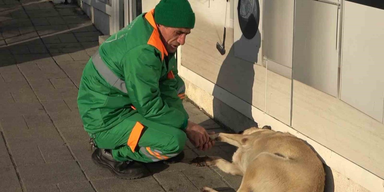 Belediye Çalışanının Köpekle Keyifli Vakit Geçirmesi İçleri Isıttı