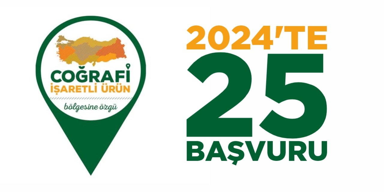 2024’te 25 başvuru