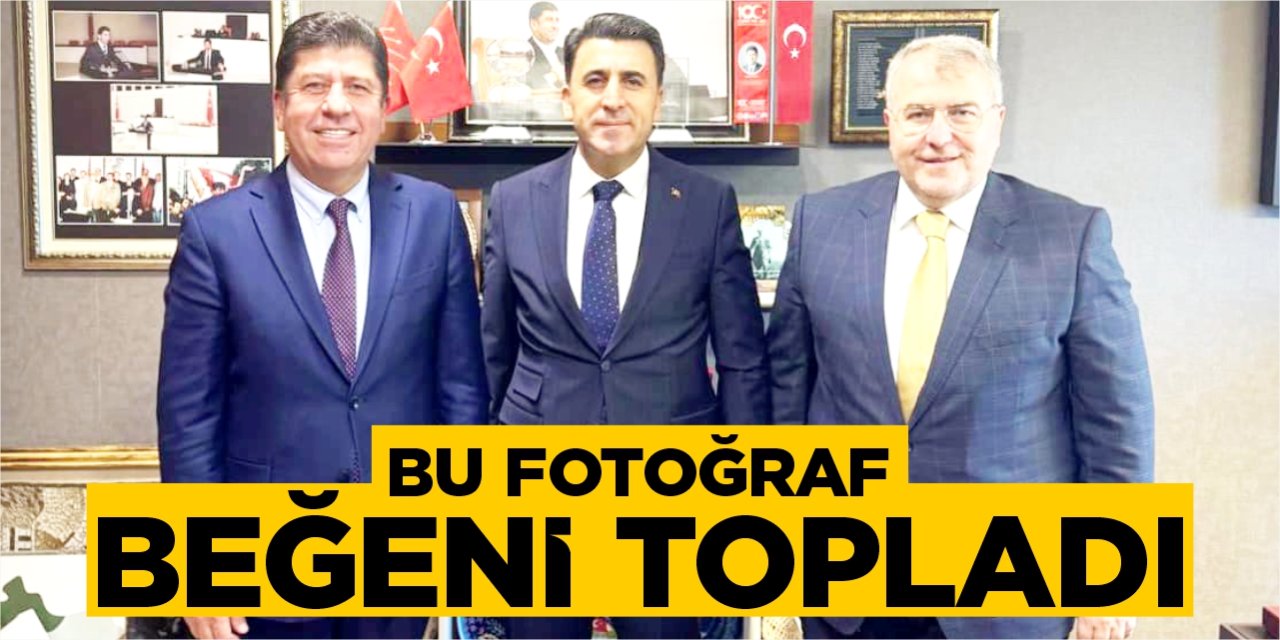 Bu fotoğraf beğeni topladı