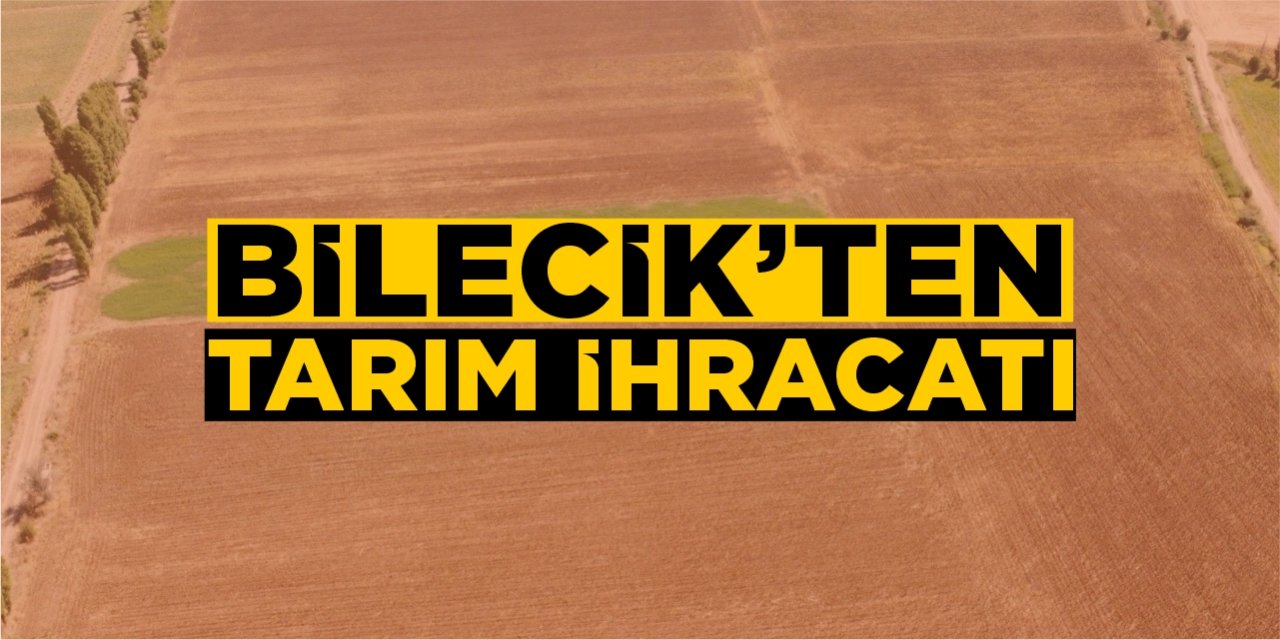 Bilecik’ten 448 bin dolarlık tarım ihracatı