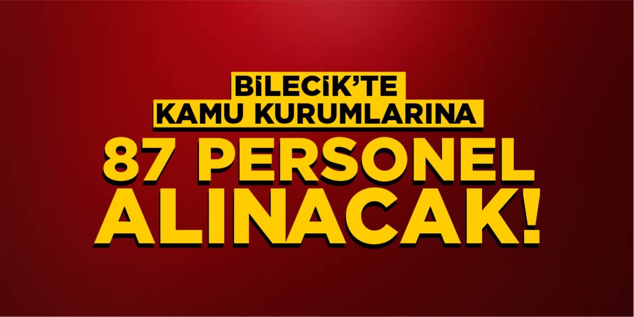 Bilecik’te kamu kurumlarına 87 personel alınacak