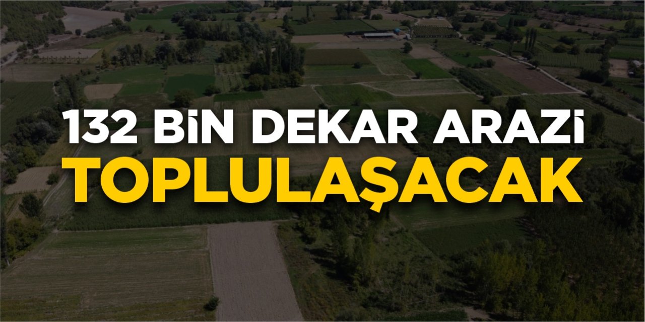 132 bin dekar arazi toplulaşacak