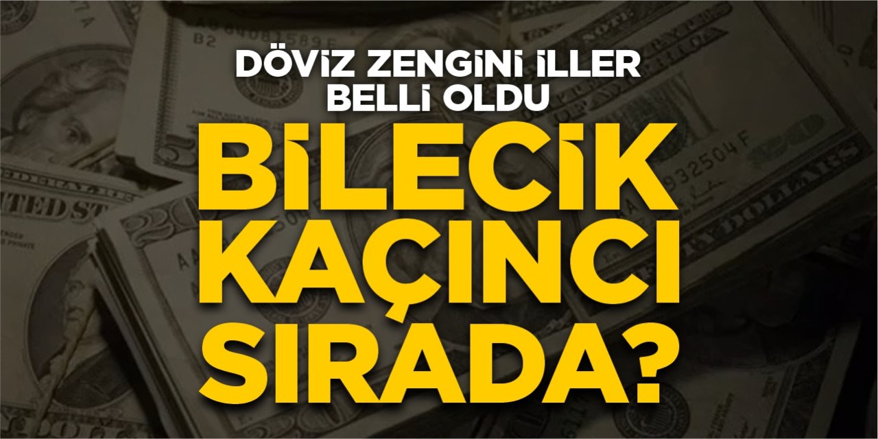 Döviz zengini iller belli oldu: Bilecik kaçıncı sırada?