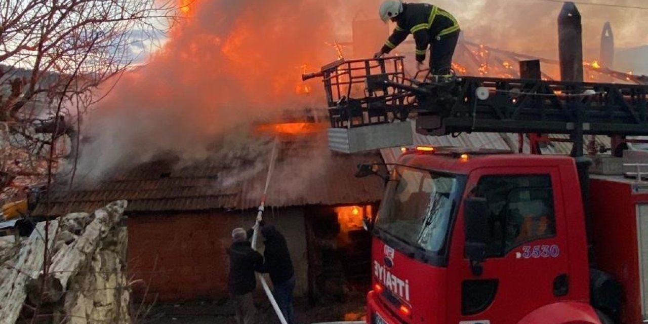 Korkutan Yangın: 1 Büyükbaş Hayvan Telef Oldu