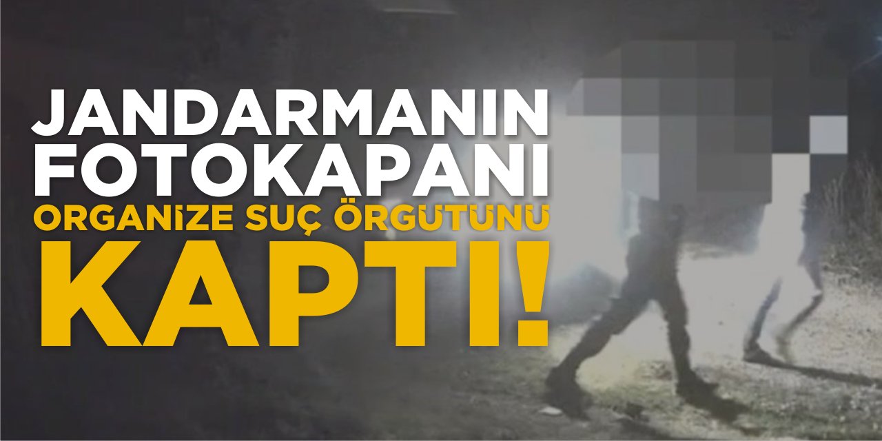 Jandarmanın Fotokapanı Organize Suç Örgütünü Kaptı