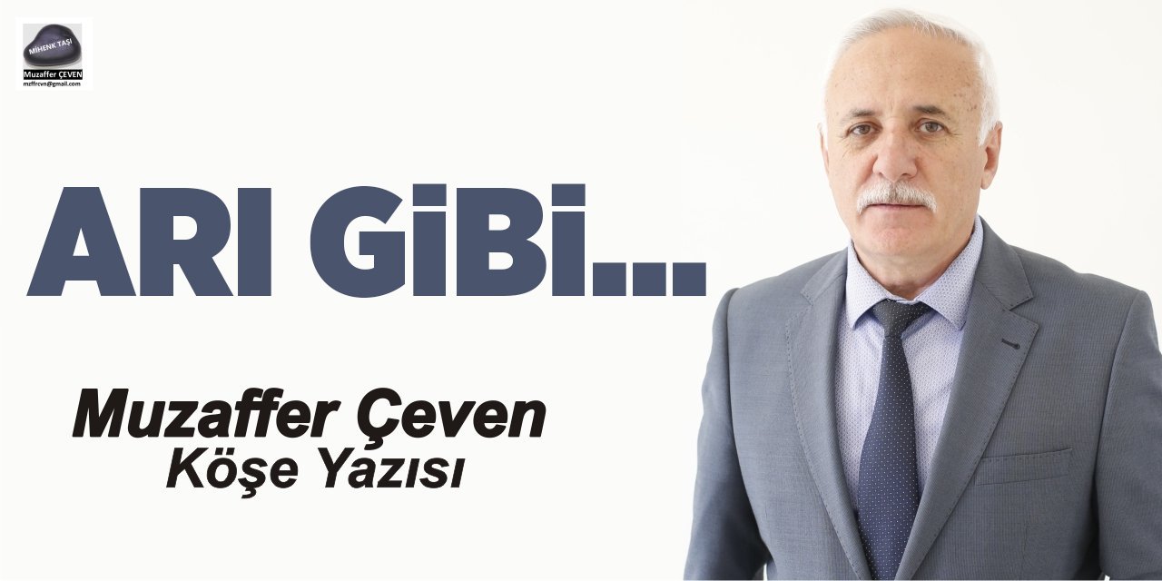 ARI GİBİ…