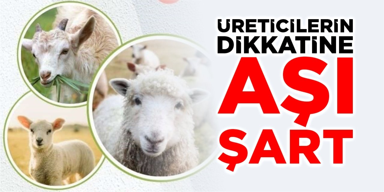 Destekleme alabilmek için aşı şart