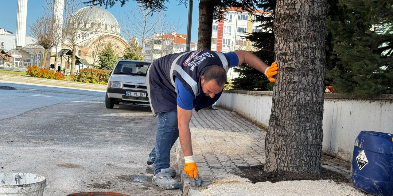 Bozüyük'te Kaldırım Çalışmaları