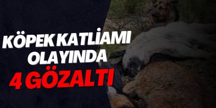 Köpek Katliamı olayında 4 gözaltı