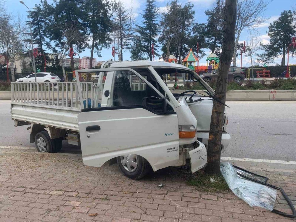 Kontrolden çıkan kamyonet ağaca çarparak durabildi