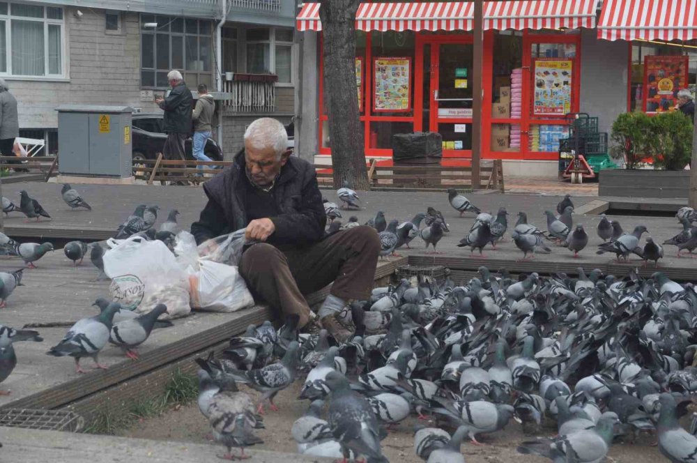 15 senedir her gün kuşları besliyor