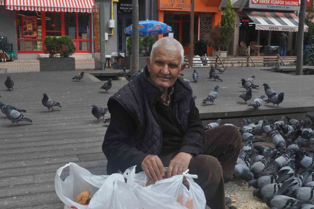 15 senedir her gün kuşları besliyor