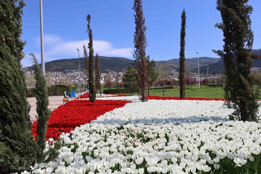 Baharın tüm renkleri sardı