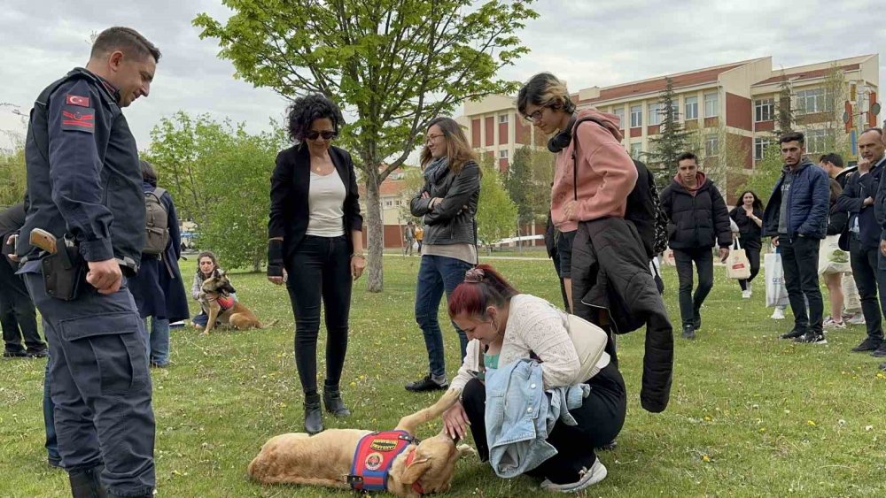 Jandarmanın sevimli kahramanları fuarda şovlarıyla ilgi çekti