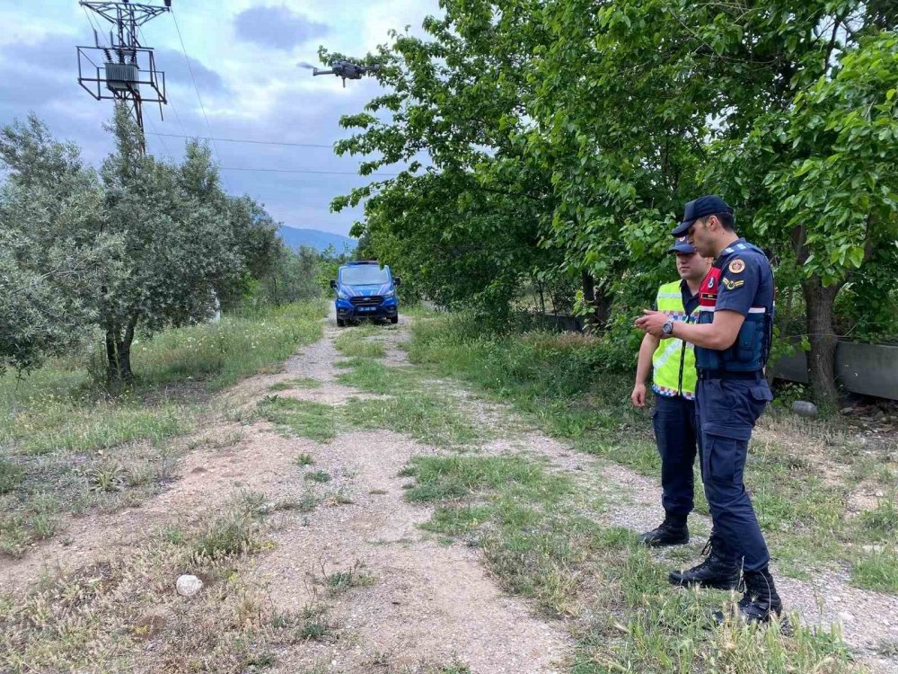 Kaybolan küçükbaş hayvanları jandarma buldu