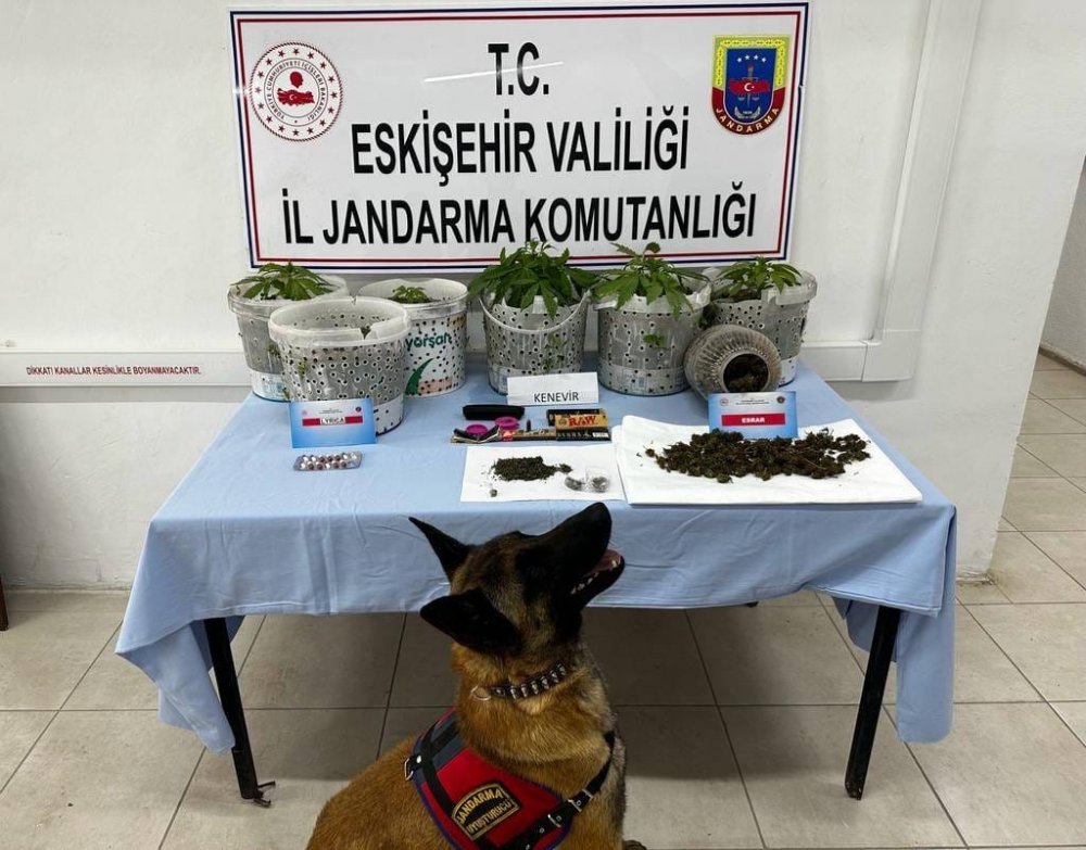 Jandarma köpeği Akça’dan kaçamadılar