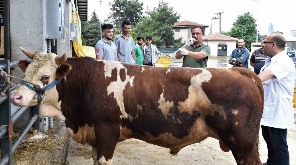 Kurban yakalama timleri göreve hazı