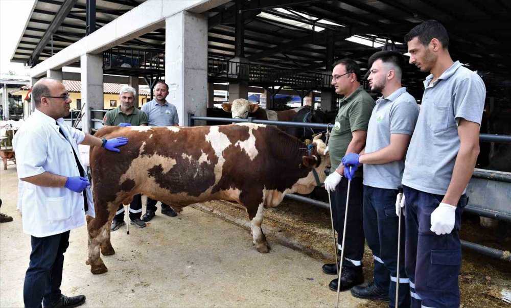 Kurban yakalama timleri göreve hazı