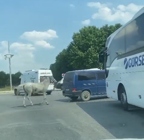 Gözaltı kararı çıkartıldı