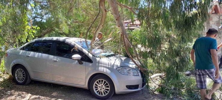 Azmak keyfi pahalıya patladı