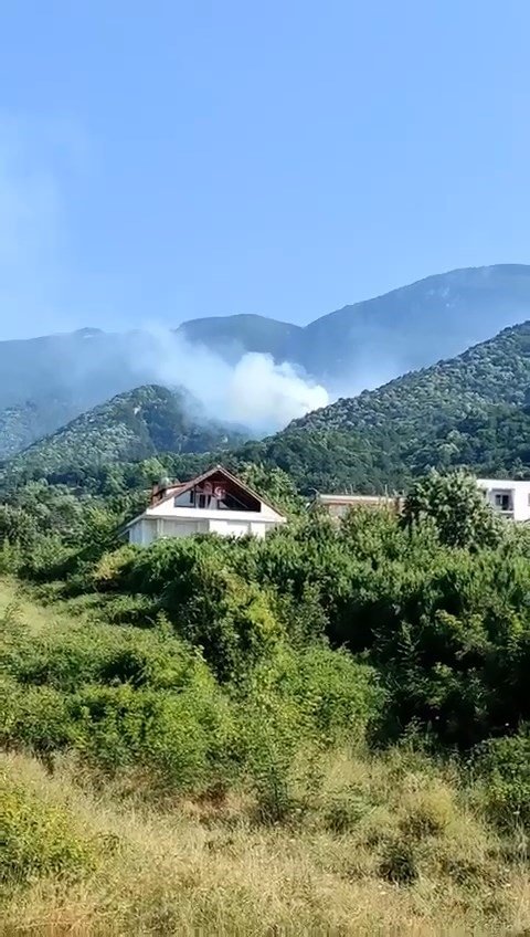 Bursa’da orman yangını kontrol altına alındı