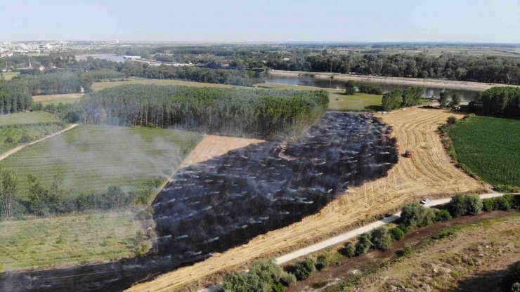 Edirne’de tarlada çıkan yangında 250 saman balyası küle döndü