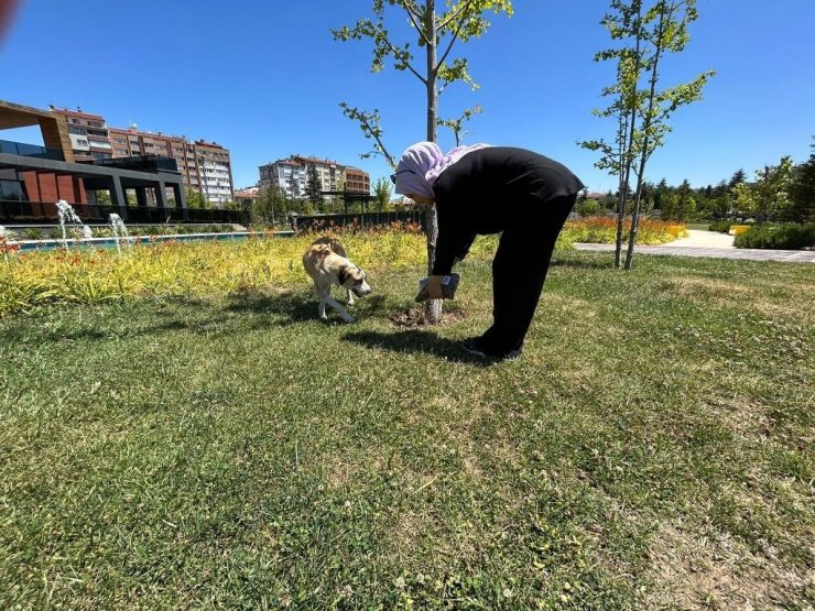 Eskişehir Ülkü Ocakları’ndan sokak hayvanlarına mama ve su desteği