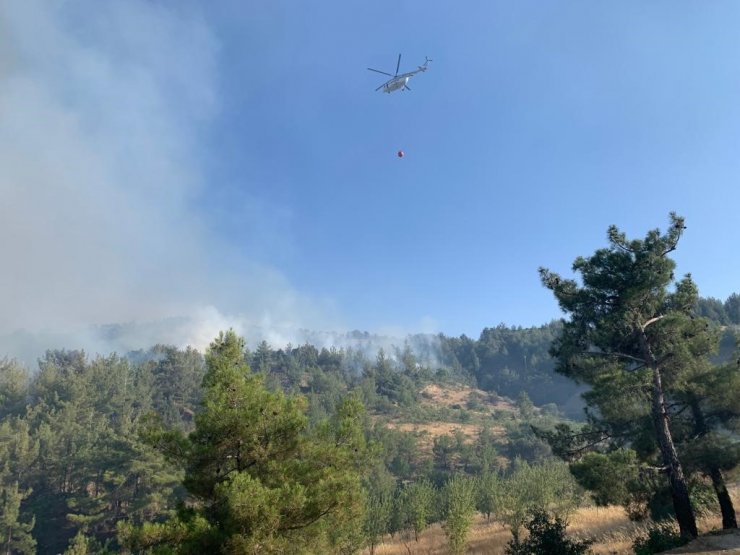 Kahramanmaraş’ta orman yangınına müdahale sürüyor