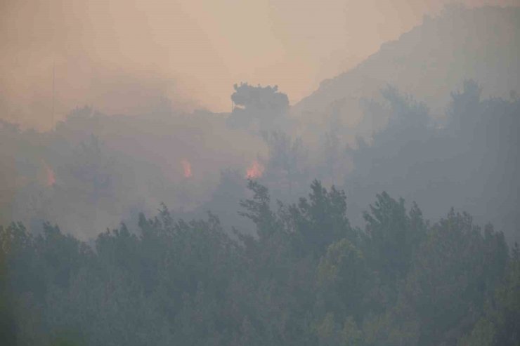 Manisa’da orman yangını: Birçok ev yandı, vatandaşlar tahliye ediliyor