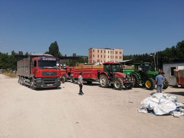 TMO Gölpazarı’nda hububat alımına başladı