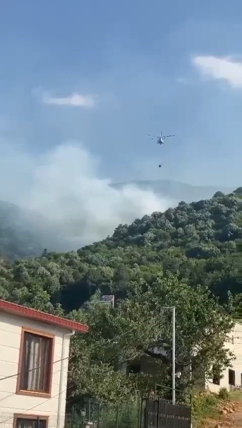 Uludağ’ın eteklerinde orman yangını